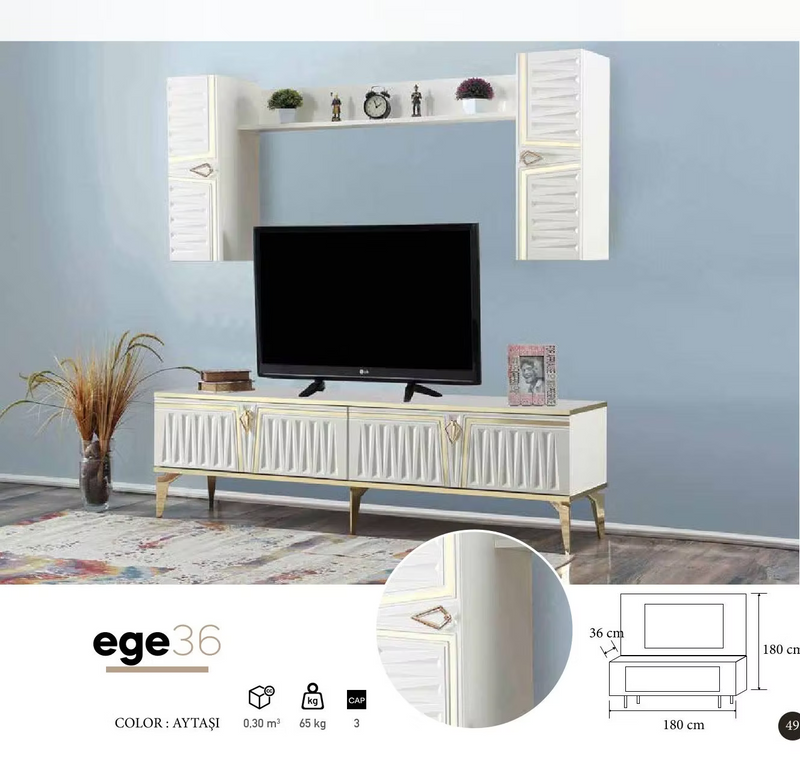 Ege TV Unit